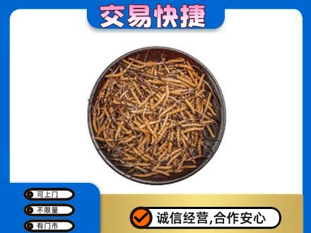 忻州市静乐回收散虫草